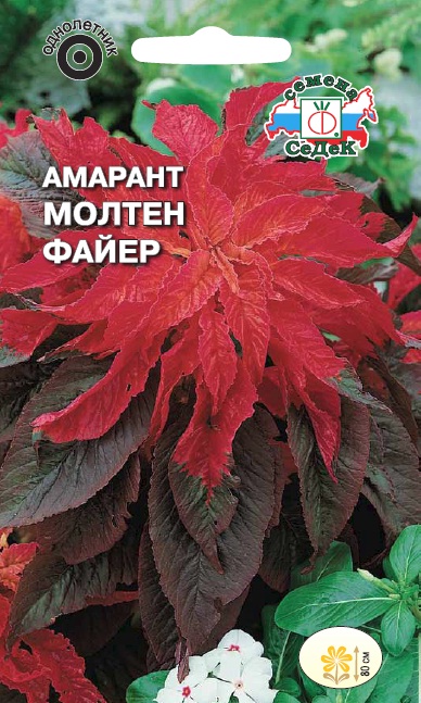 Семена цветов - Амарант Молтен Файер 0,25 г - 2 пакета