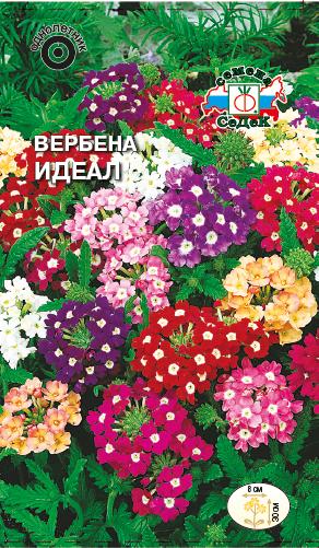 Семена цветов - Вербена Идеал 0,1 г - 2 пакета