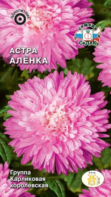 Семена цветов - Астра Алёнка 0,2 г - 2 пакета