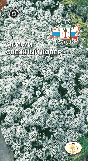 Семена цветов - Алиссум Снежный Ковер 0,1 г - 2 пакета